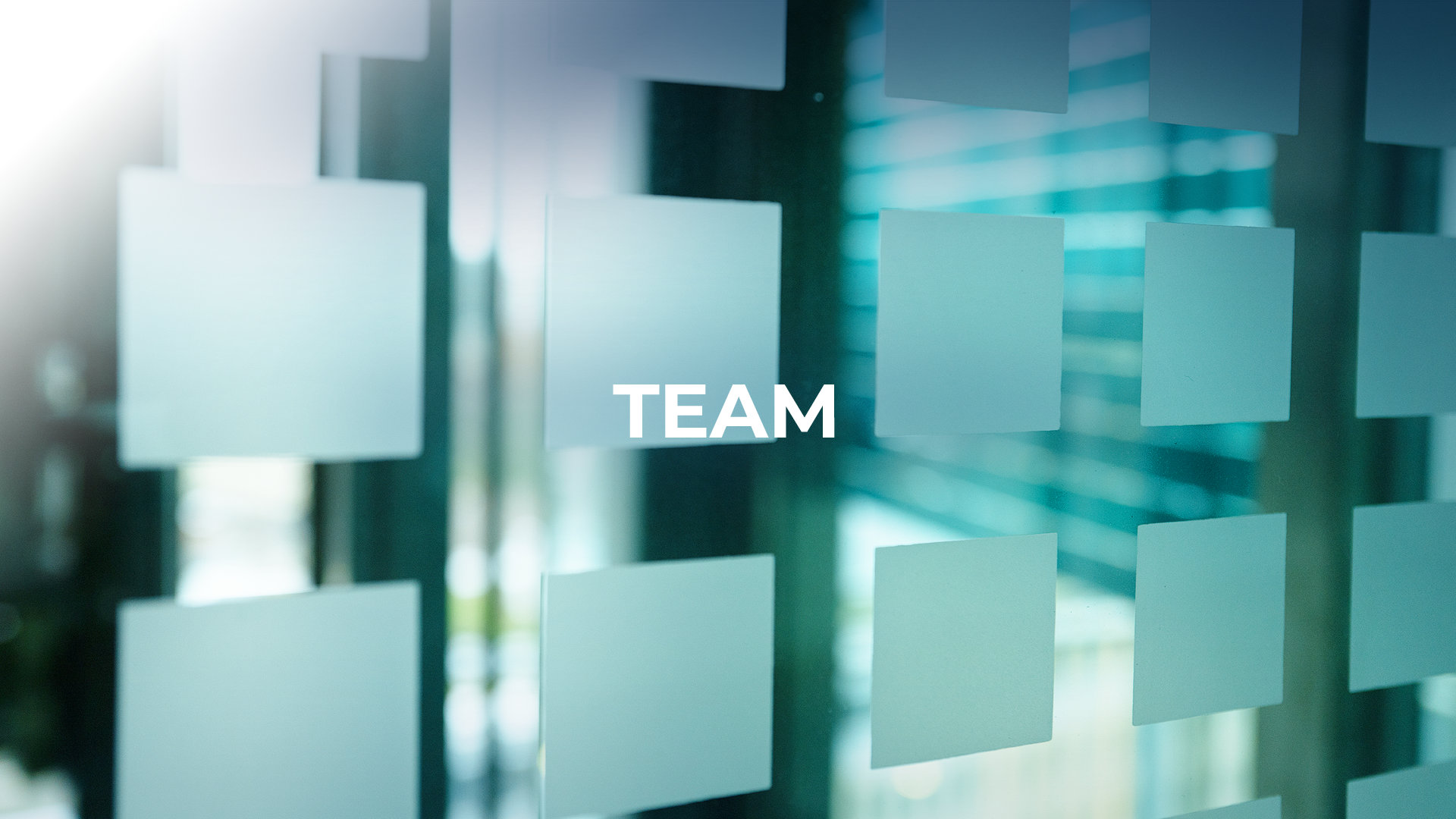 Header_Team_1920x1080-2