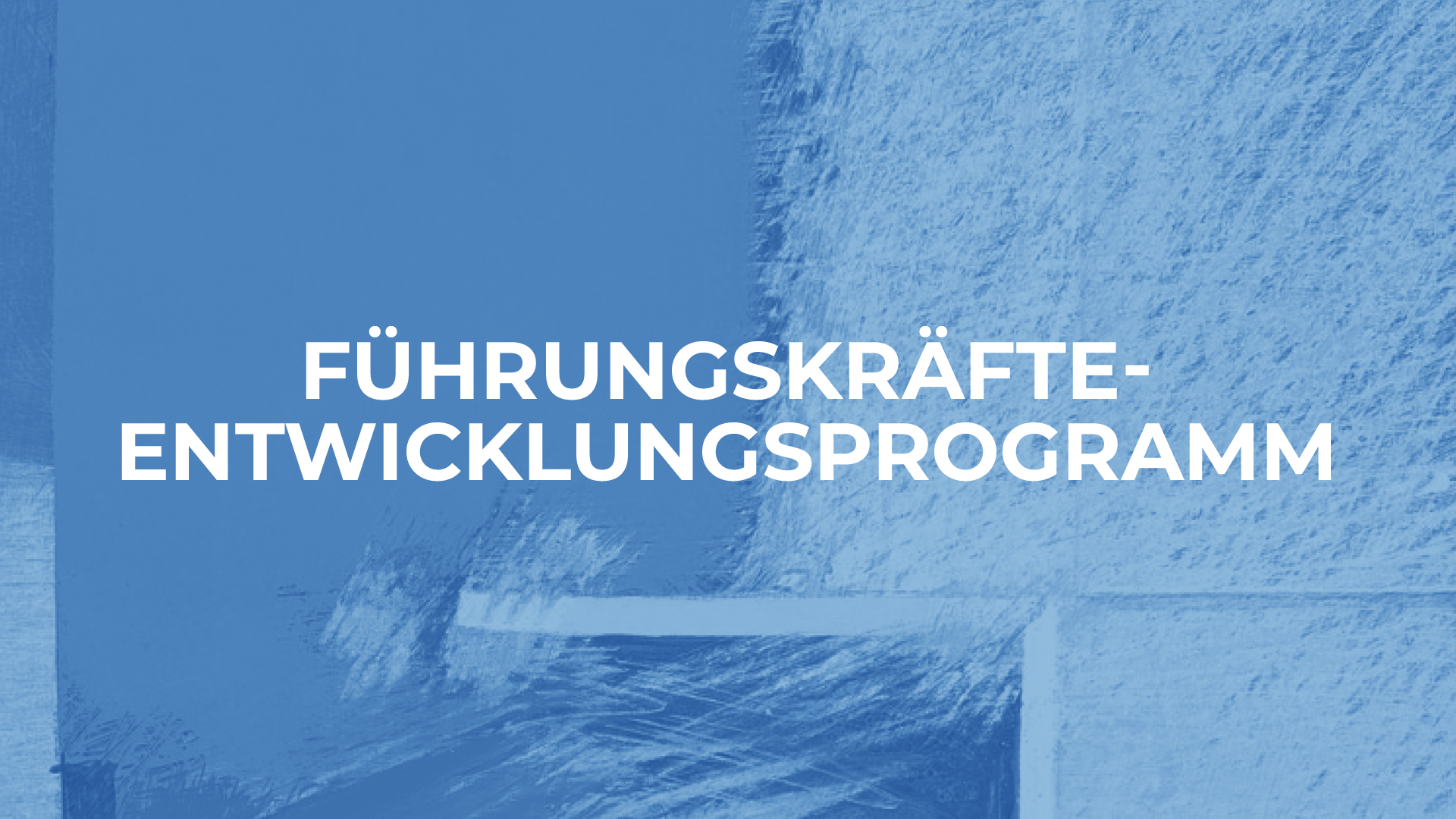 Header_Subseite_Akademie_1920x1080_3 Führungskräfte Entwicklungsprogramm bei Investors Marketing